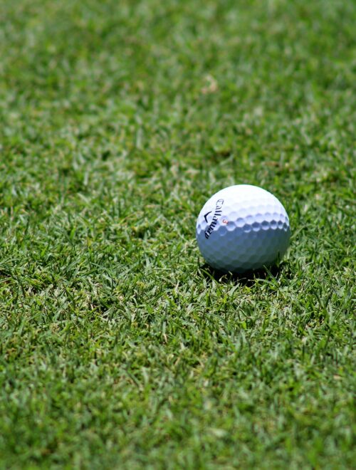 pallina da golf